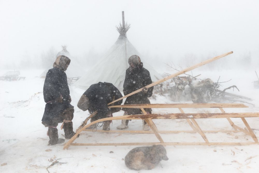 Новые нарты