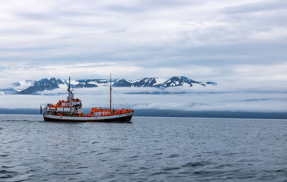 Photograph by Evgeniya