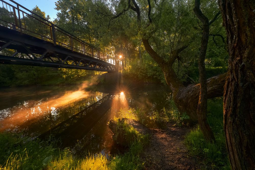 / Утро в парке.../