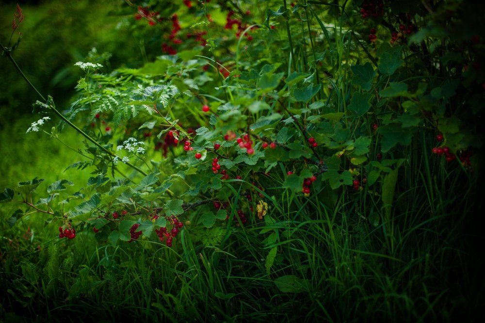 Photograph by Анастасия