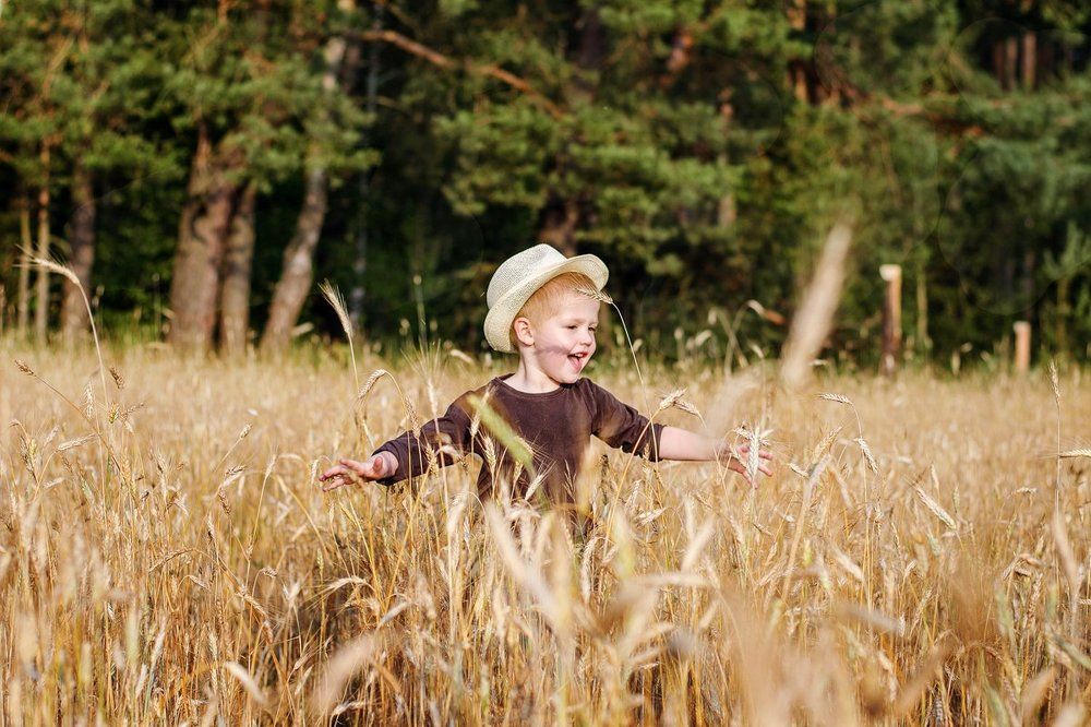 золотое лето