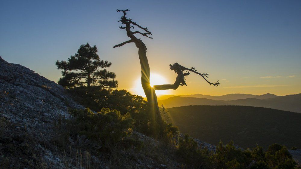 Photograph by вадим аврахов