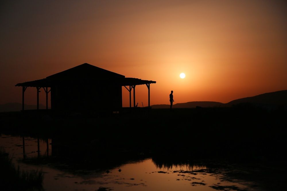 Balıkçı barınakları