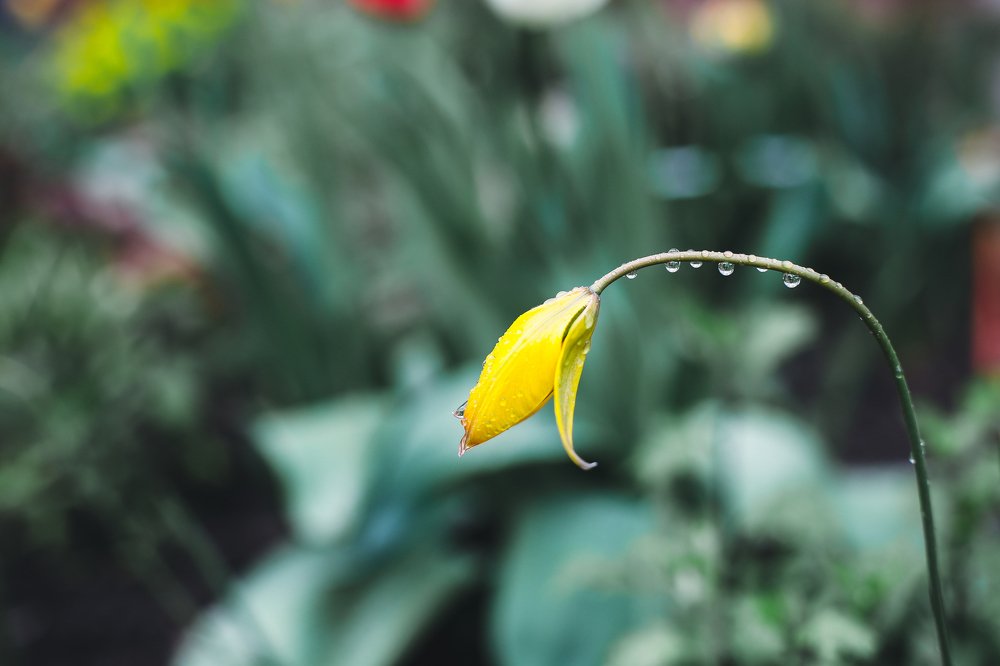 После дождя...