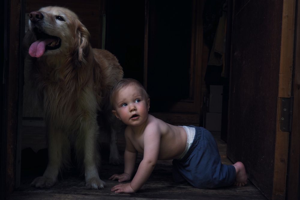 В поисках приключений