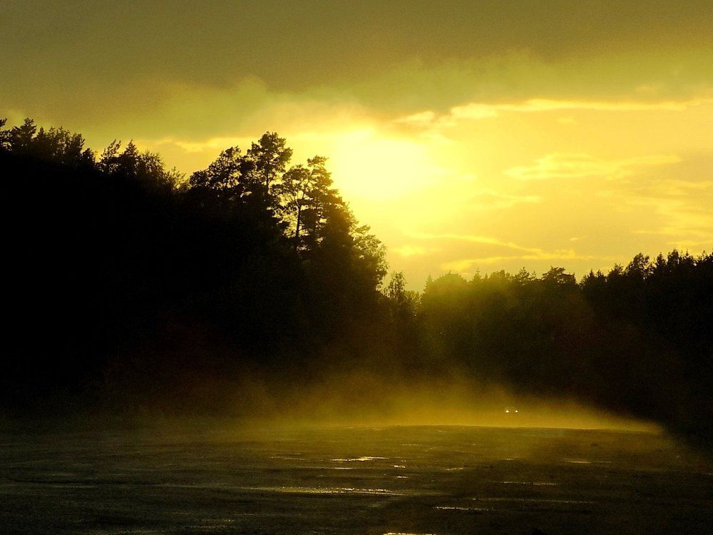 После дождя