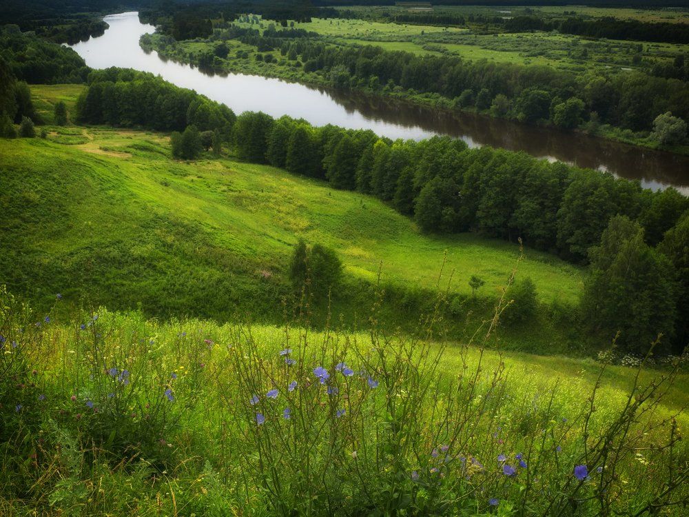 Lysaya Gora wildlife sanctuary