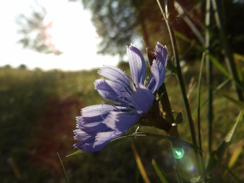 Photograph by Илья Юхнов