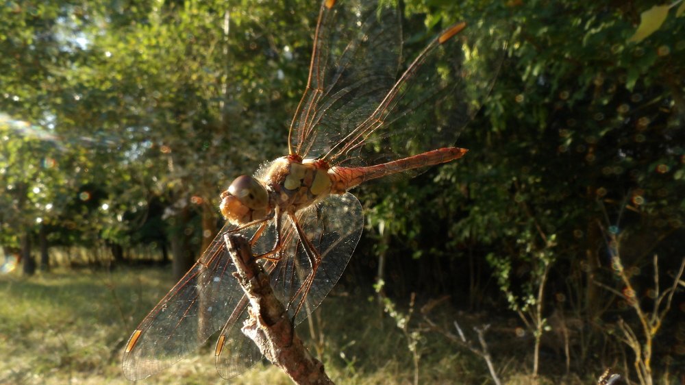 Photograph by Илья Юхнов