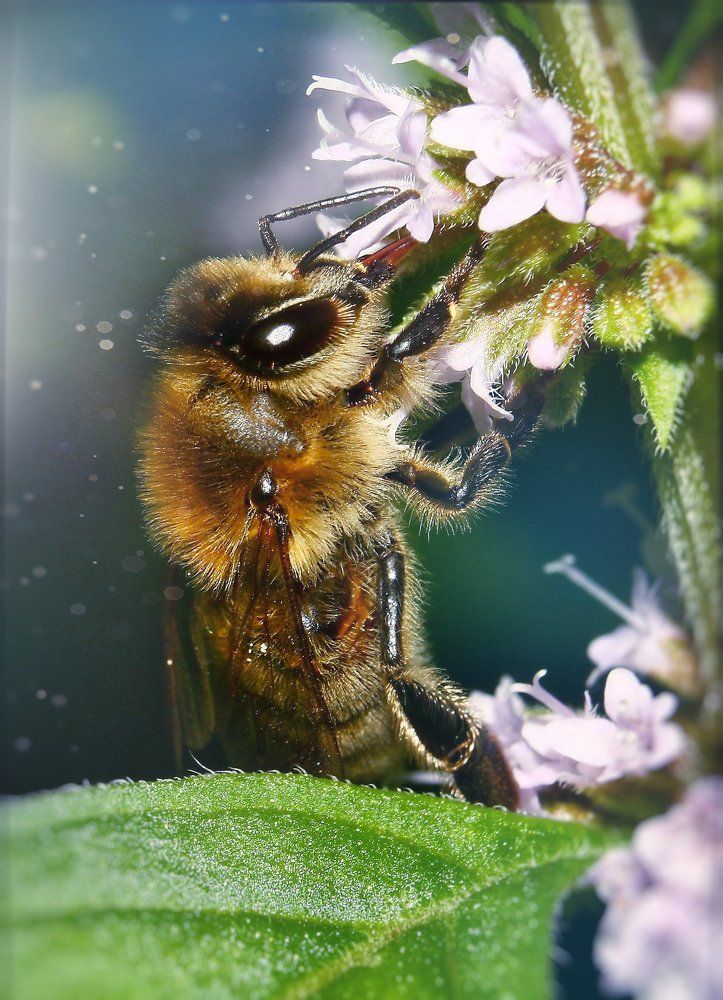 Без отпуска в летнее время