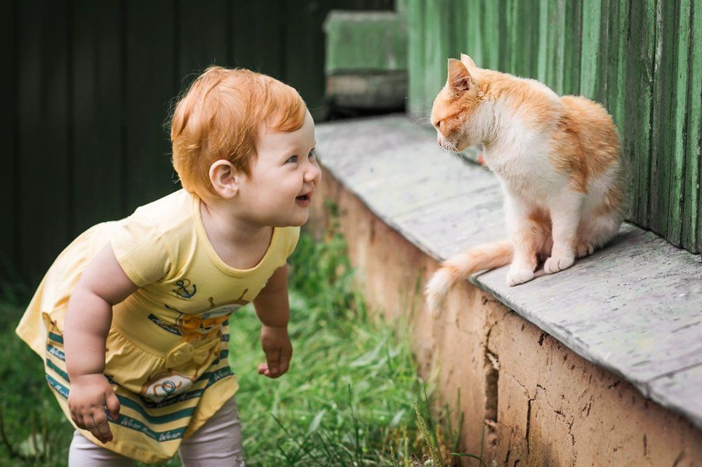 Два солнышка