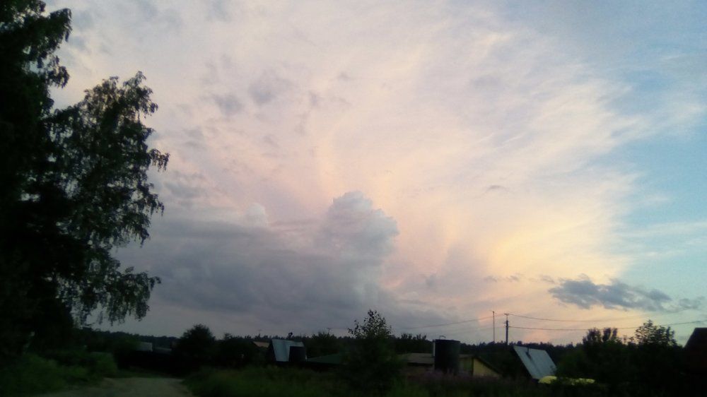 Лев в облоках