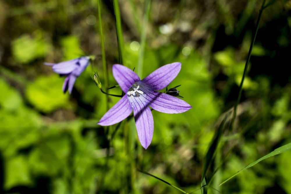 Маленький мир