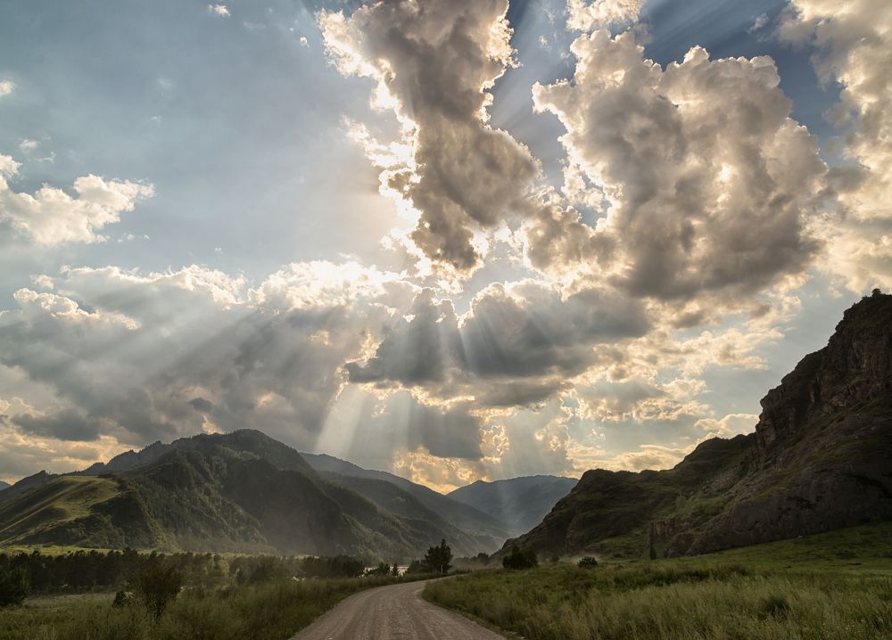 Дорога домой