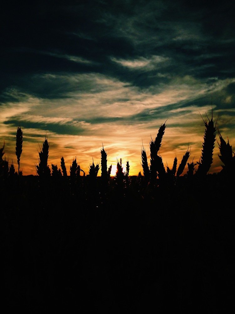 Колесо Сансары