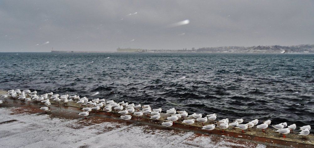 ...эскадрилья готова...