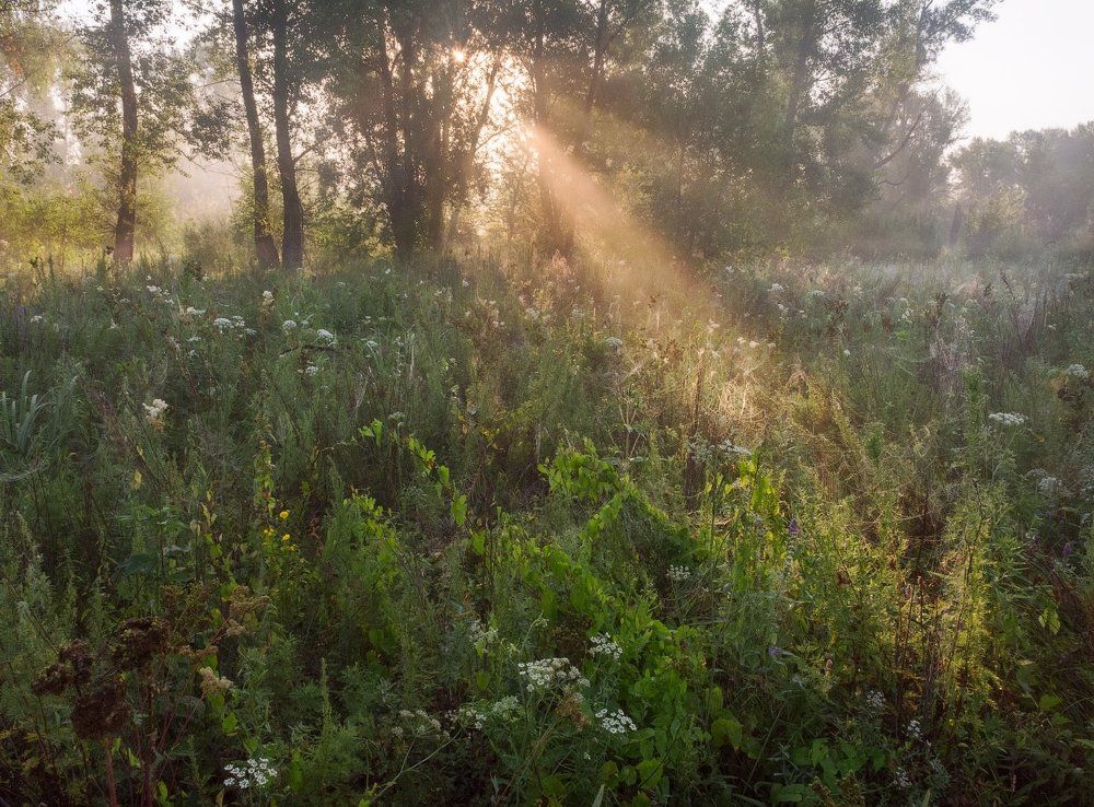 Фотография автора Алексей Проняхин