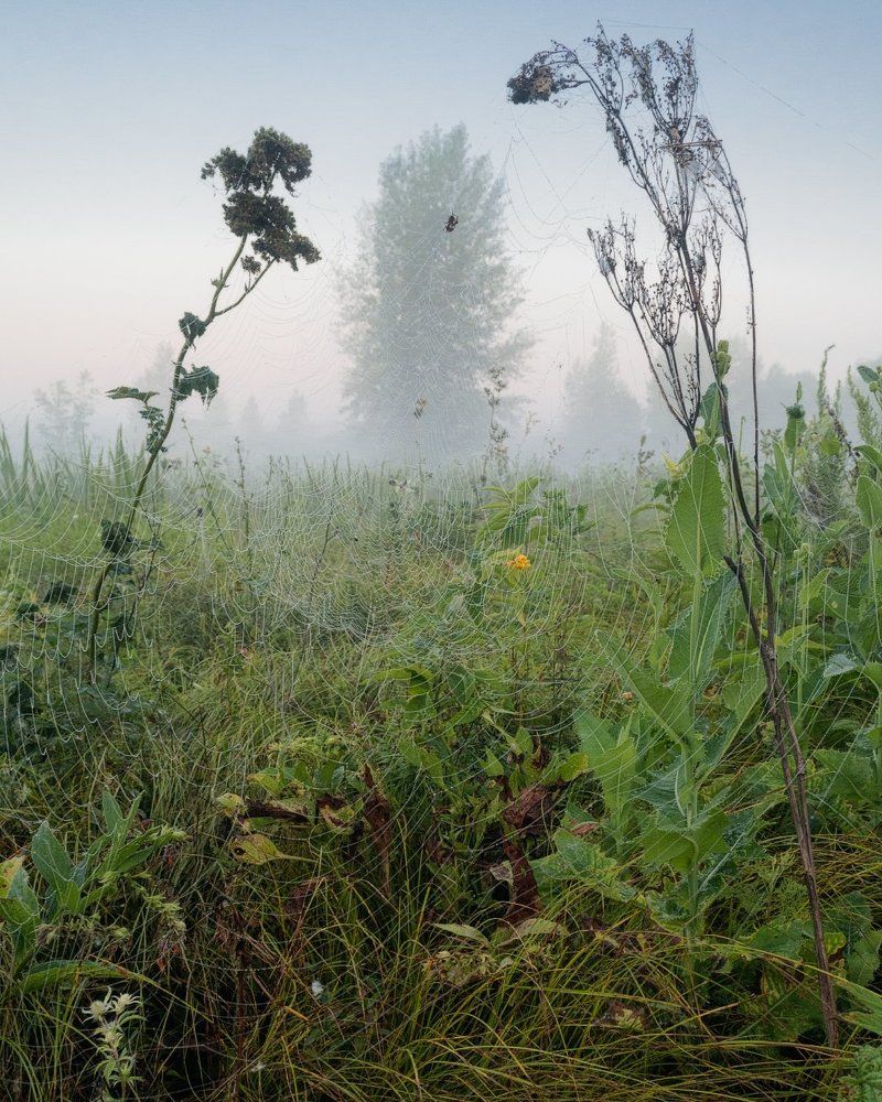 Фотография автора Алексей Проняхин