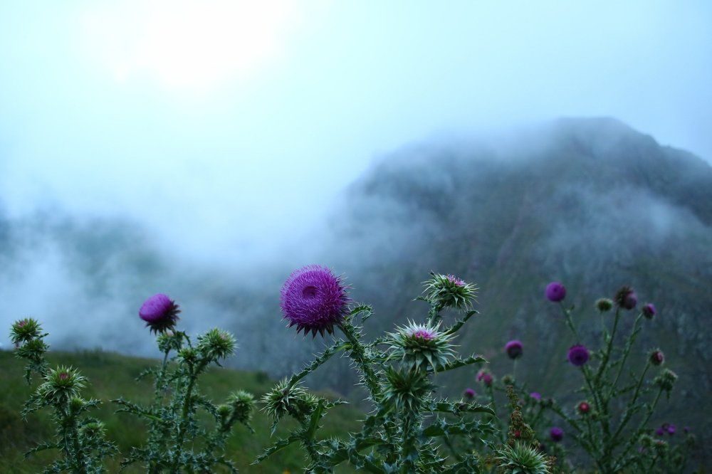 Туман спустился  В Джылы Су