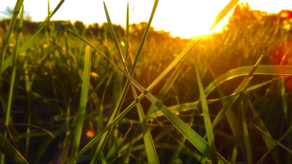 Early in the morning