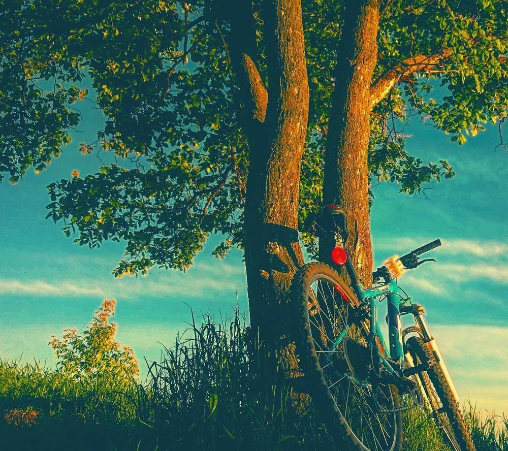 Моменты.../Moments...