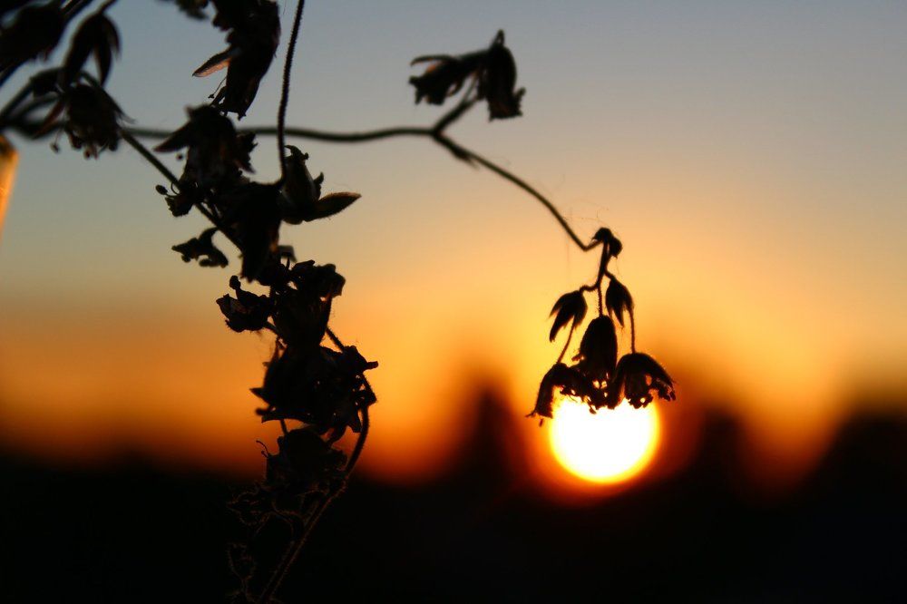 Мы всё создаём сами.