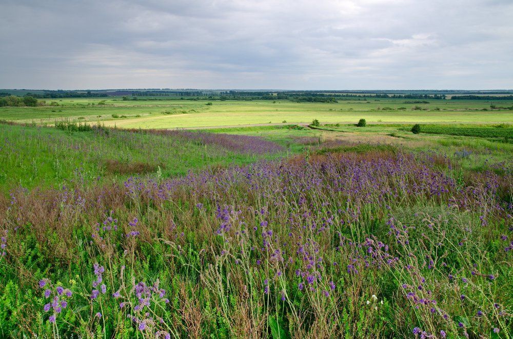 Photograph by Александр