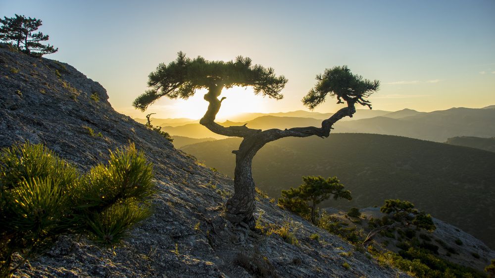 Photograph by вадим аврахов