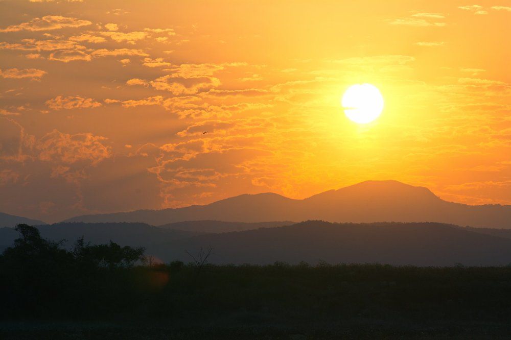 жаркое утро