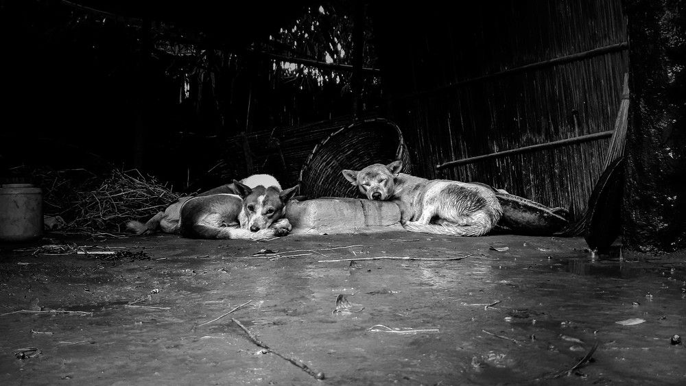 অলস সময় । Lazy time