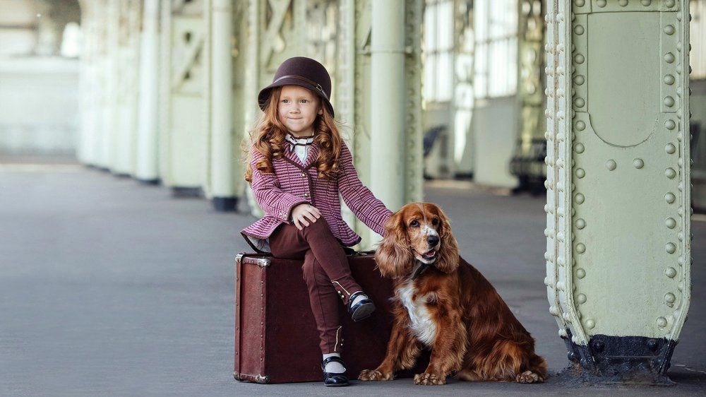 Чемоданное настроение