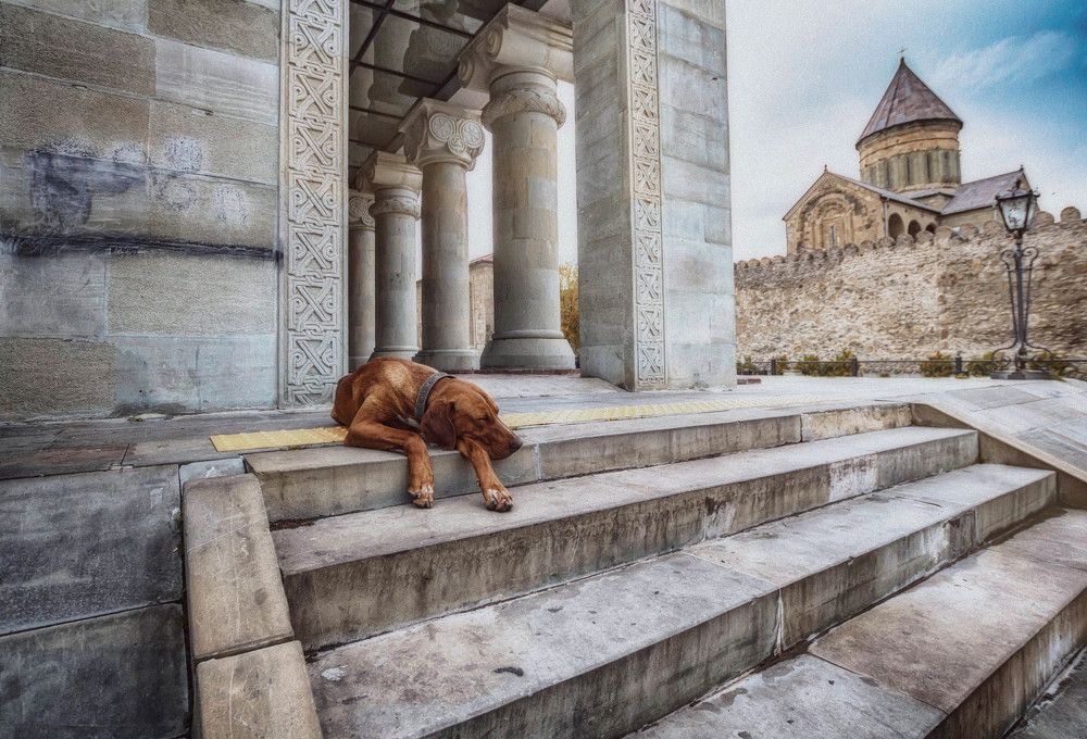 На страже веков.Мцхета