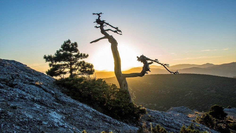 Photograph by вадим аврахов