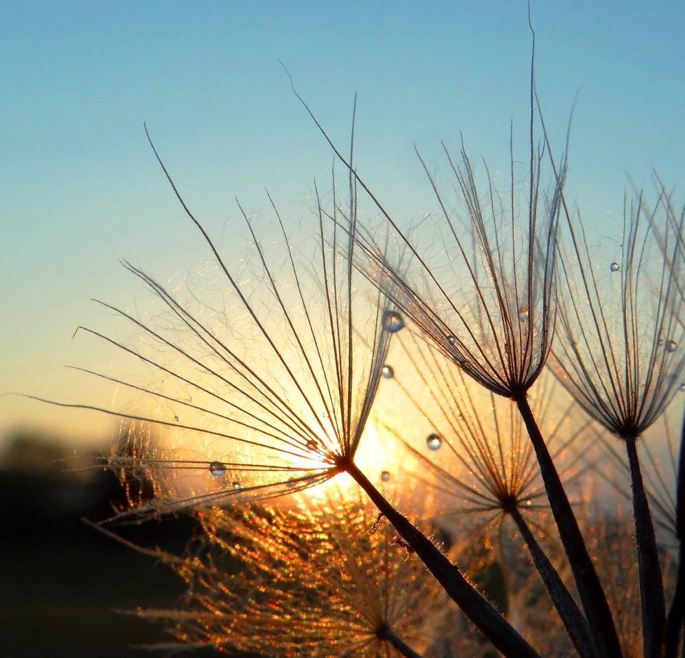 Блюз заходящего солнца