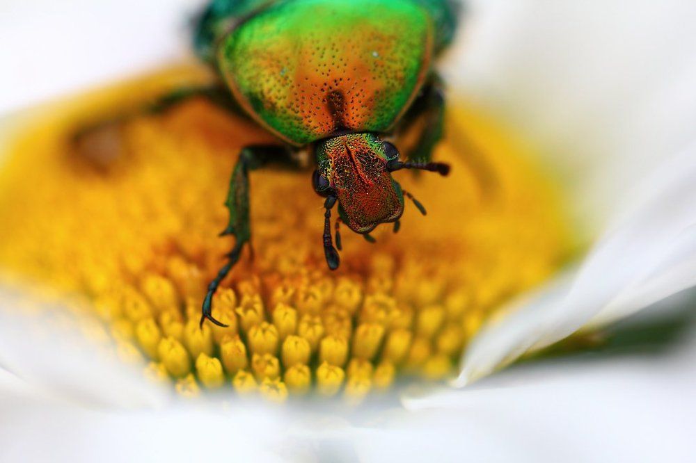 Добро пожаловать в мой скромный бар...