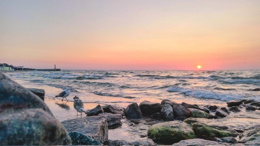 Миг из жизни моря