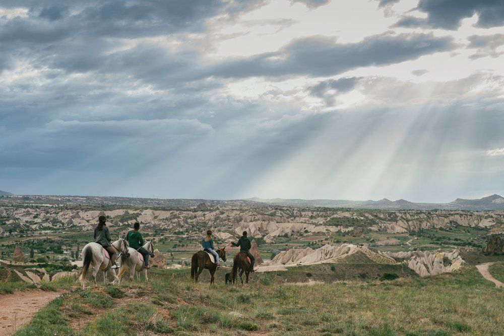 Вокруг – природа, конь – природа, я сам – природа!