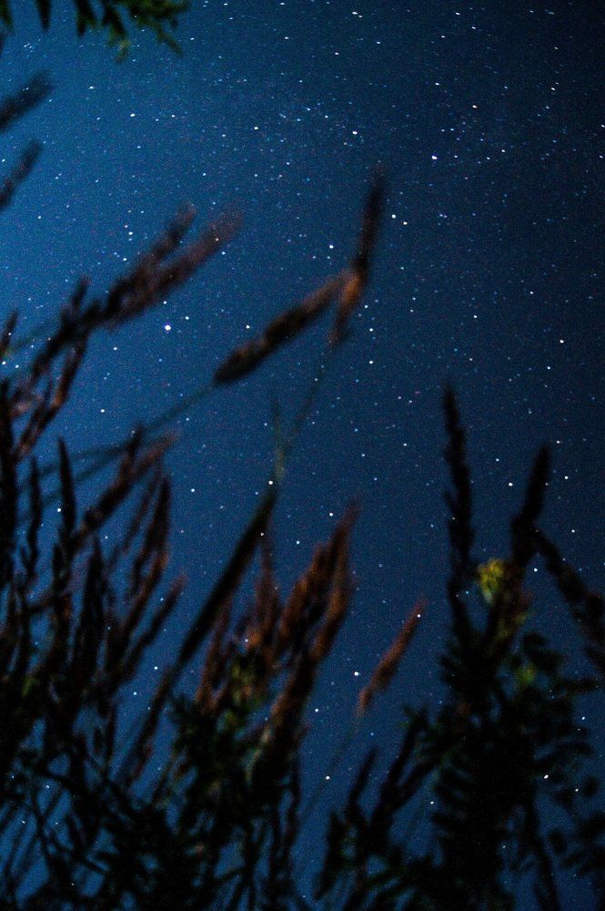 Photograph by Бадаев Антон