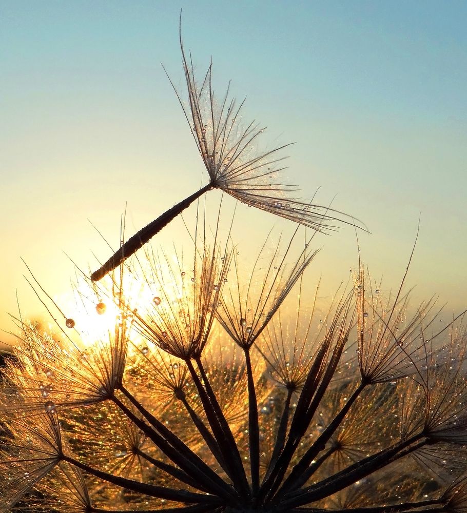 Золотой закат