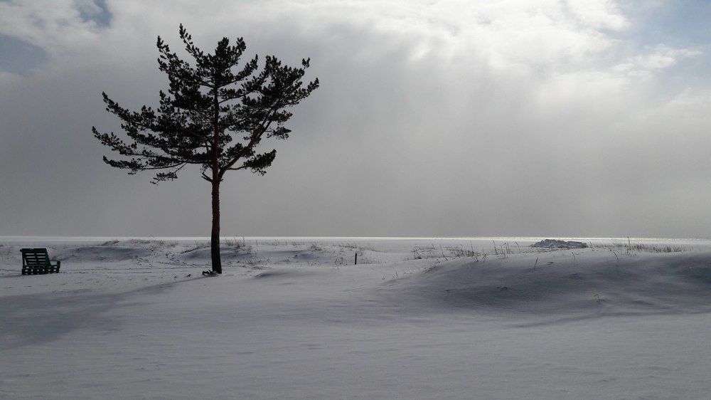 Одиночество ли