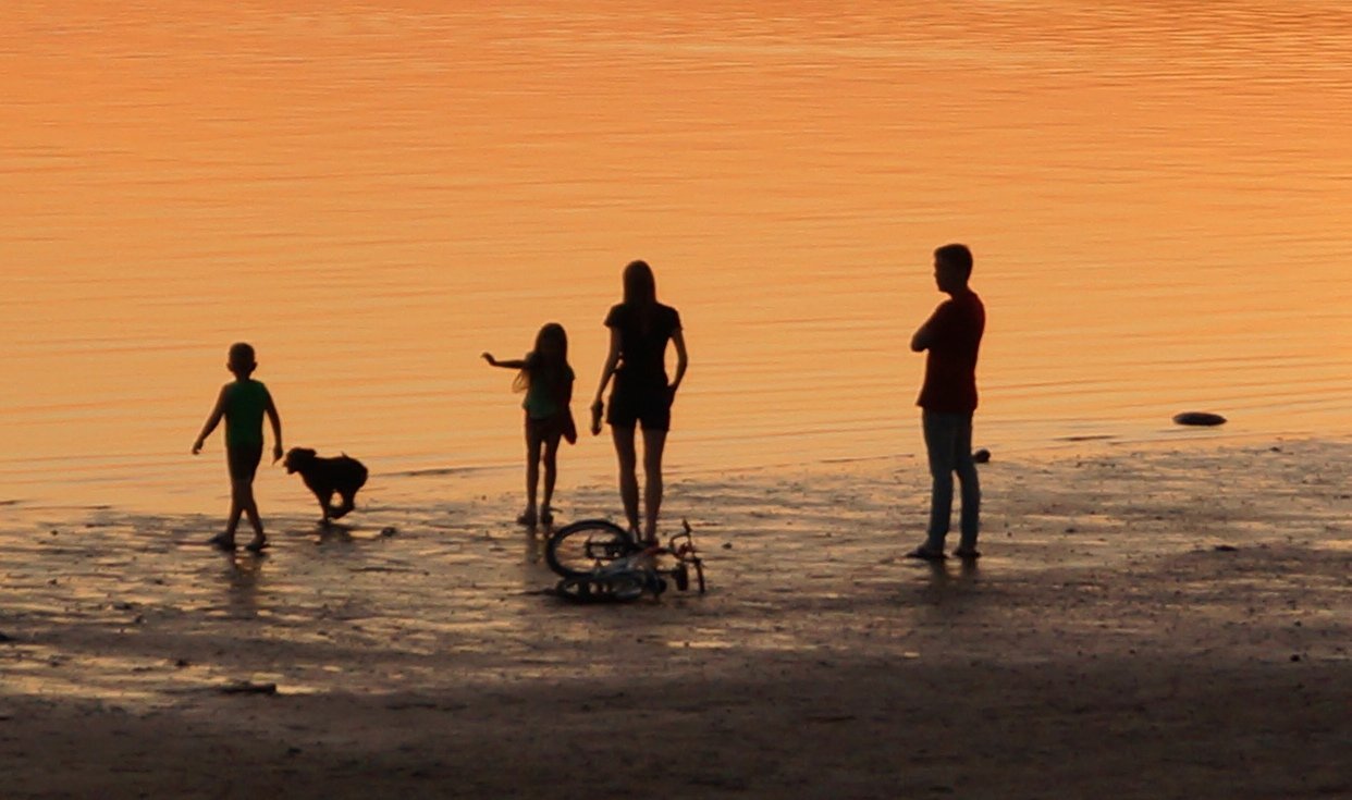 Photo #1876966
