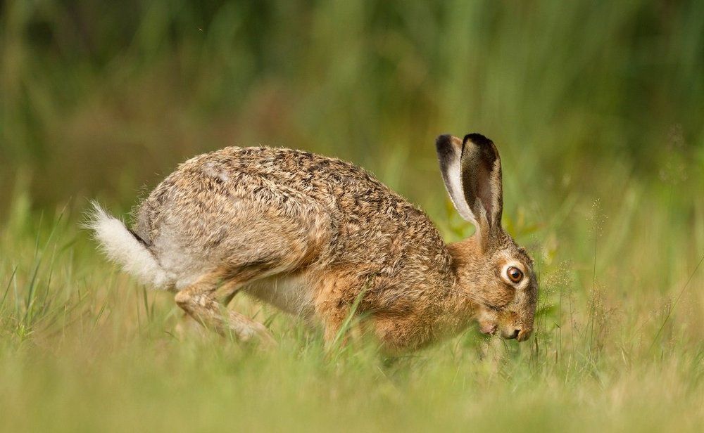 Photograph by Janina J?drzejewska-Szombara