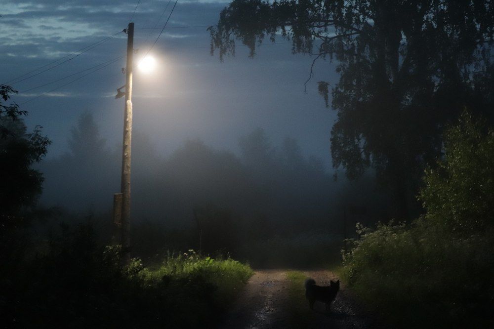 Ностальгия