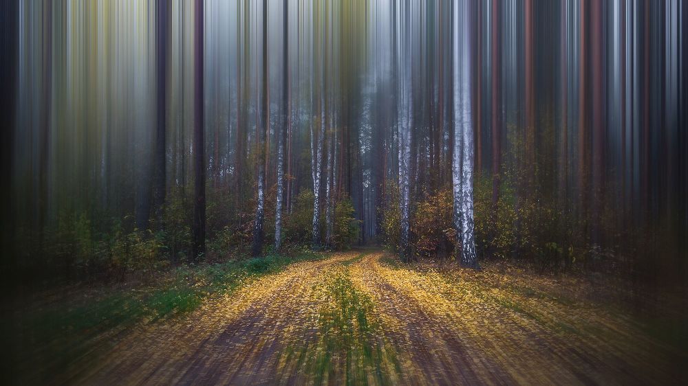 Blurry Forest