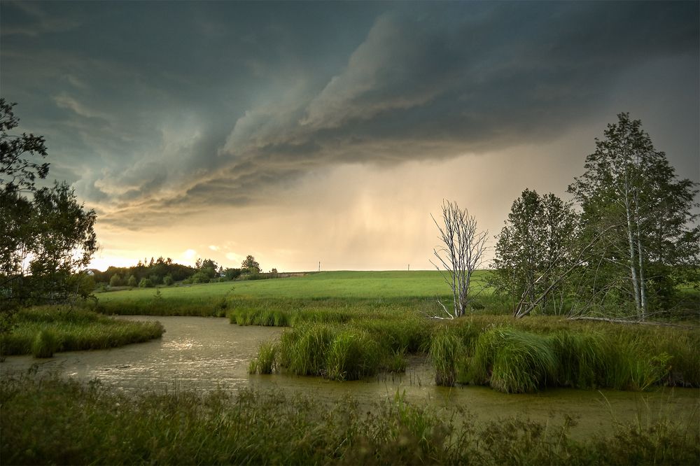 В преддверии грозы
