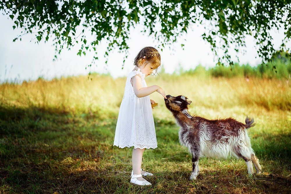 Первая встреча )