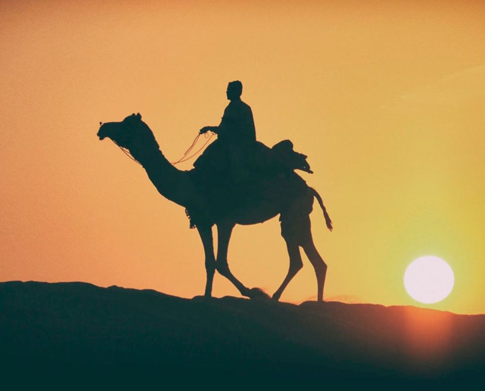 पधारो म्हारे देस...( Visit my place....)