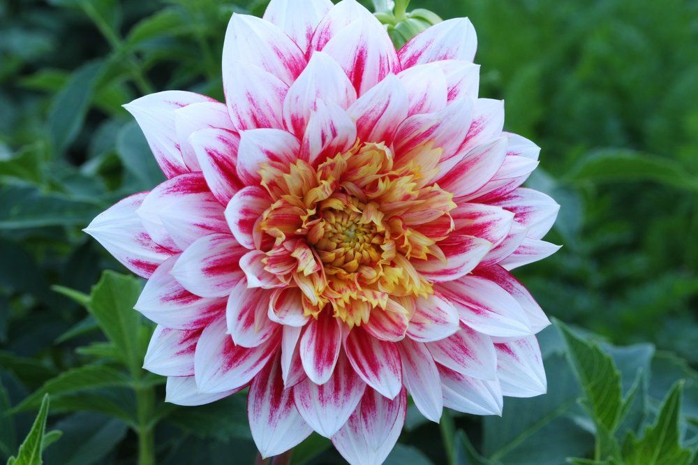 Красивый в любую погоду