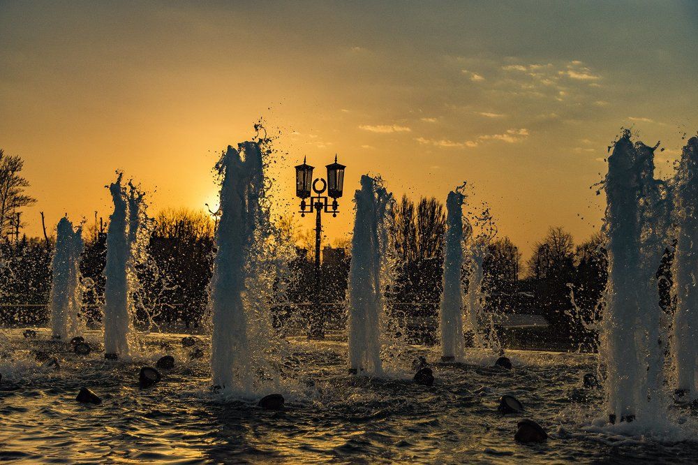 Photograph by 