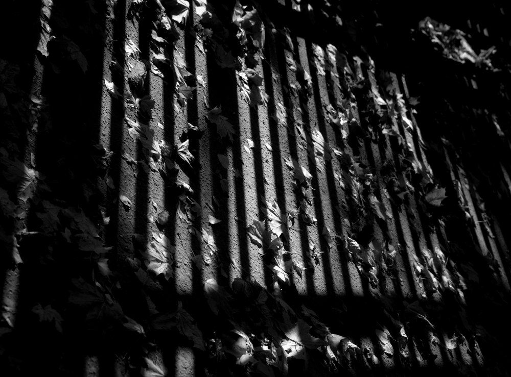 Осенние мотивы